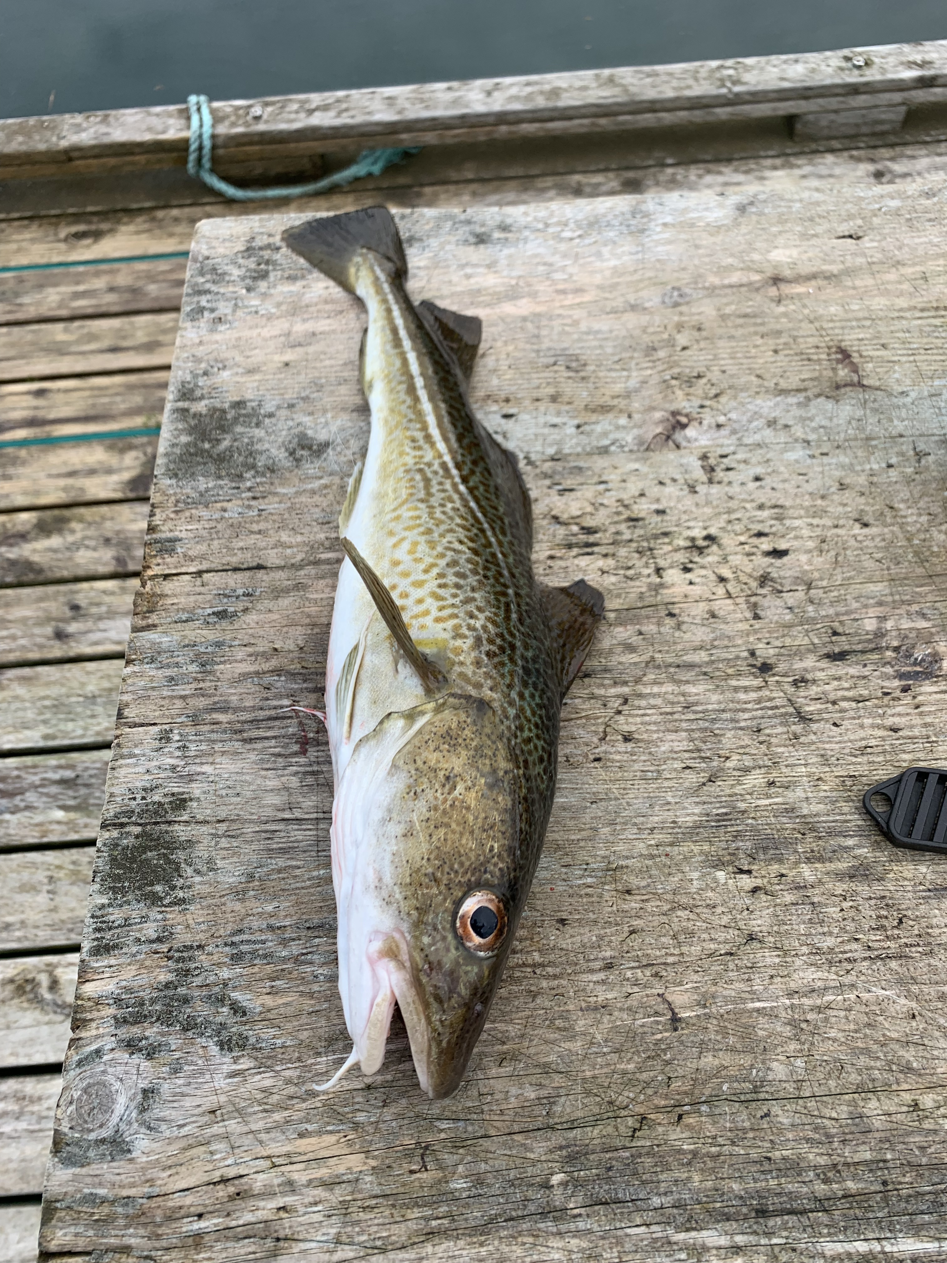 4B278D84-4738-4E86-ACC4-3E370F677514