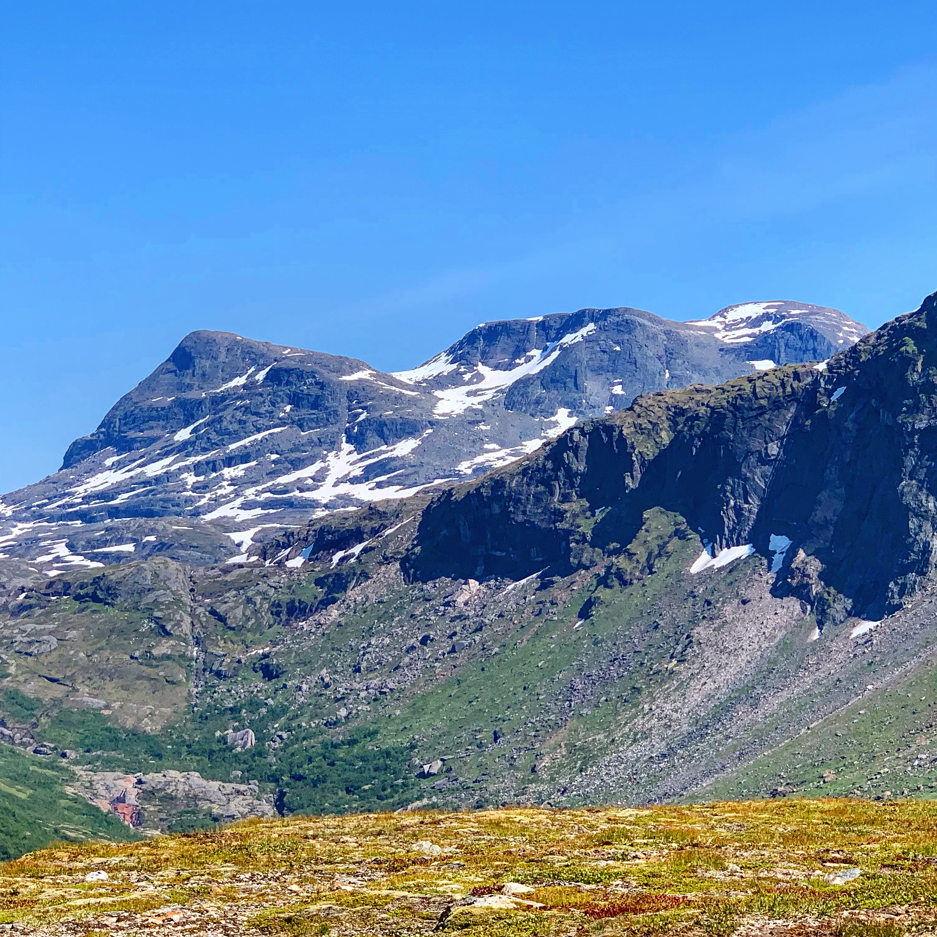 6C15CB0E-AF31-4EF8-A143-32E04959A9DB