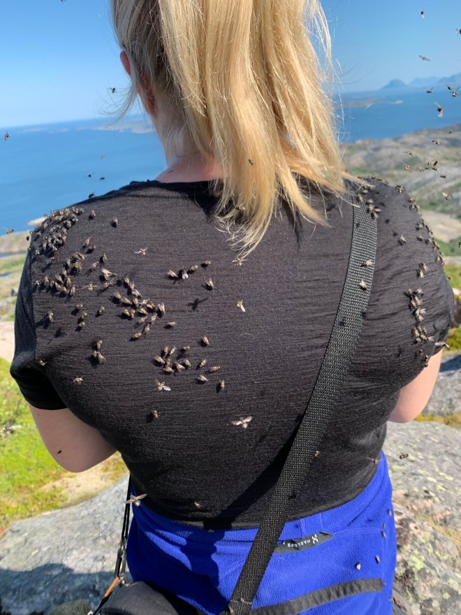 84936661-E859-4AAE-B7D6-F37B25A13AE5