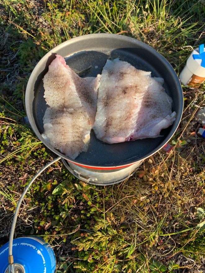 A2E5F28E-9035-4F8C-9EDC-B242AACA045A